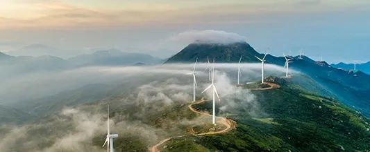 Renewable Energy Solutions